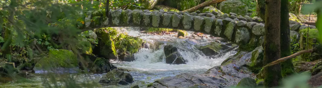 Présentation de la Vologne : écrin naturel et patrimoine textile