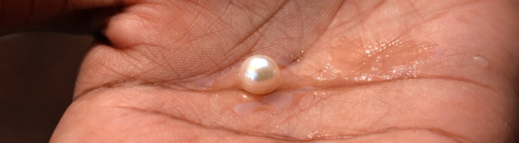 La perle de la Vologne : trésor des ducs de Lorraine