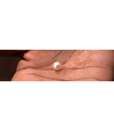 La perle de la Vologne : trésor des ducs de Lorraine